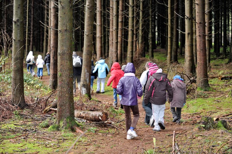 Organizamos excursiones al extranjero para grupos